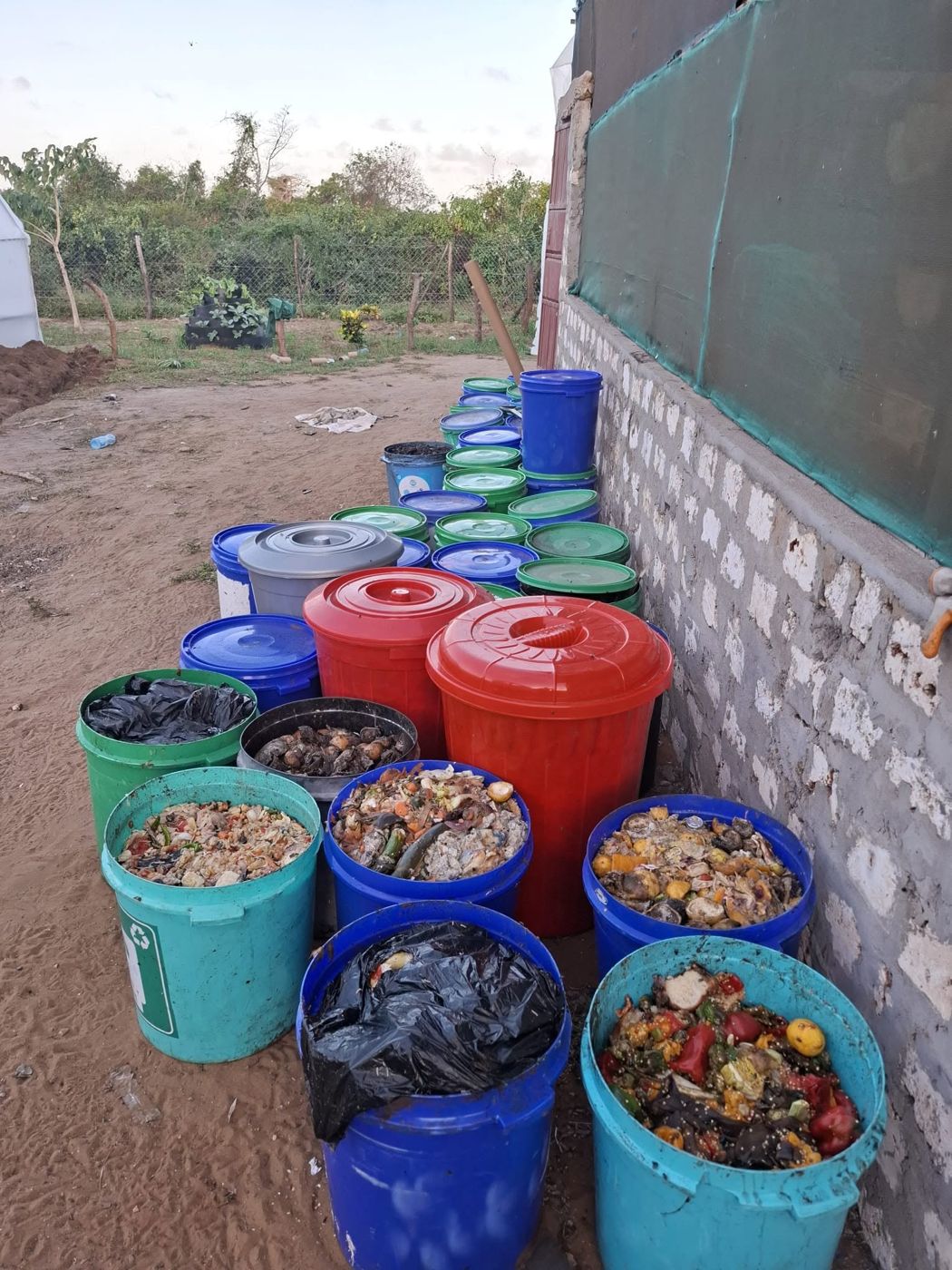 Organic waste separated in buckets